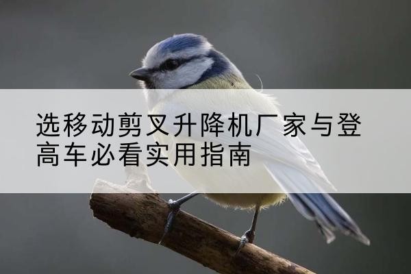 义马电动升降机厂家-选移动剪叉升降机厂家与登高车必看实用指南