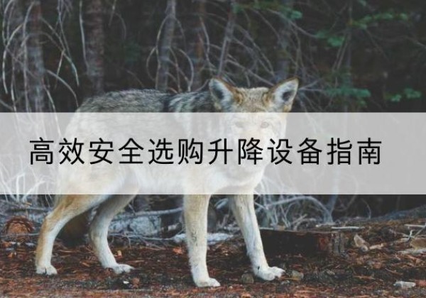 义马升降货梯厂家推荐-*安全选购升降设备指南