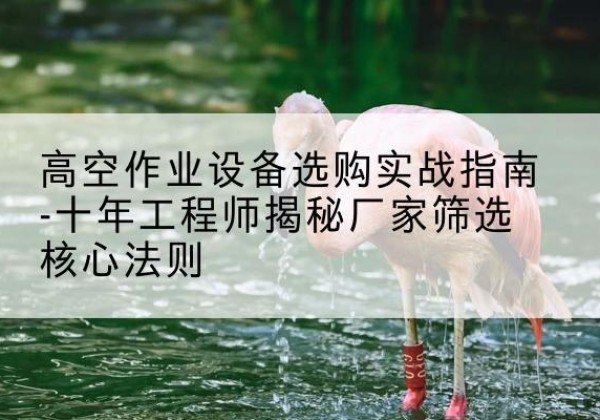 义马剪叉式升降机厂家-高空作业设备选购实战指南-十年工程师揭秘厂家筛选核心法则